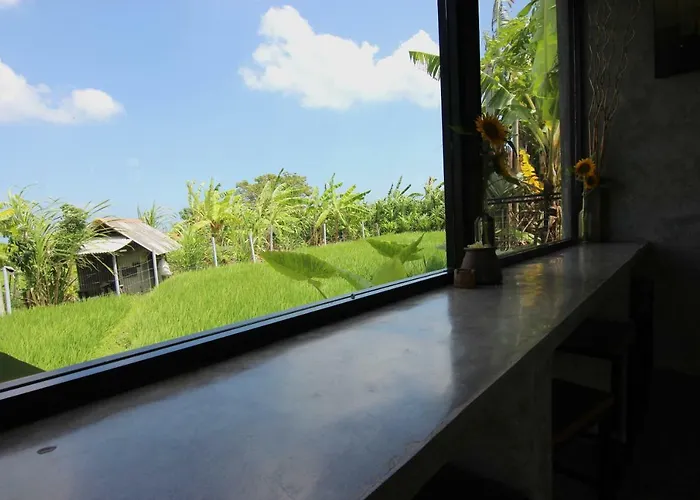 De Vir House Canggu